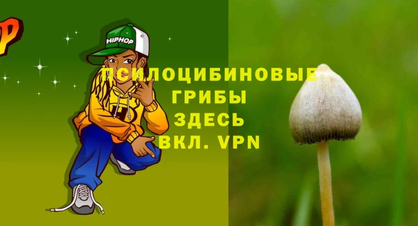 прущая мука Пересвет