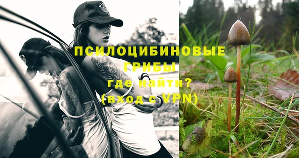ешки Покачи