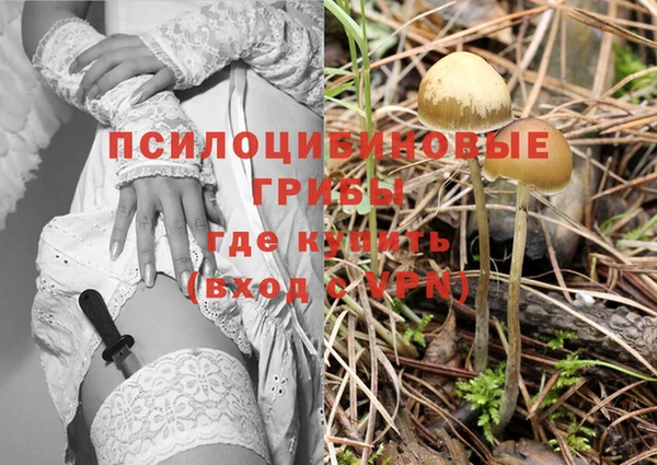 прущая мука Пересвет