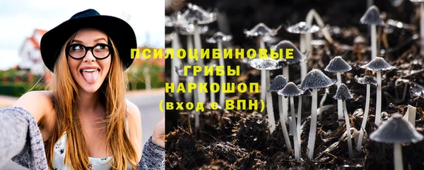 прущая мука Пересвет