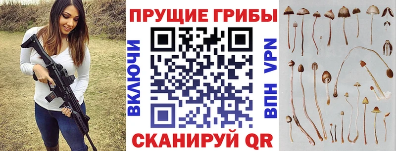 Псилоцибиновые грибы GOLDEN TEACHER  купить наркотик  Баймак 